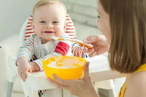 7个月宝宝辅食热门话题,营养搭配与喂养技巧揭秘