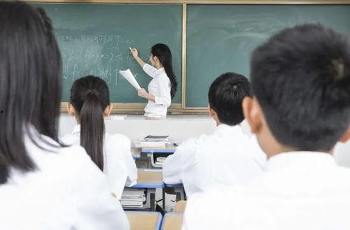 教师热门话题关键词,教师热门话题深度解析
