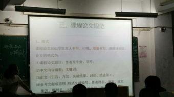 当下社会的热门话题作文,探讨社会热点与科技发展的交织
