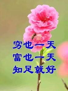 热门话题春暖花开下一句,万物复苏——探寻春天的美好与生机