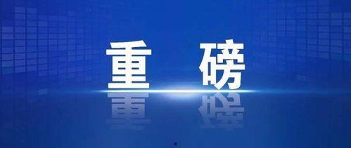 教育部导师热门话题,聚焦教育改革与人才培养新趋势