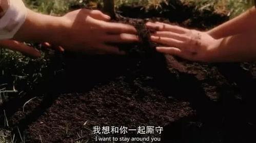 人世间热门话题有哪些,盘点人世间热门话题