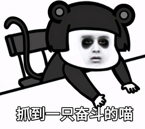 热门话题我不傻表情包,网络时代下的幽默与共鸣
