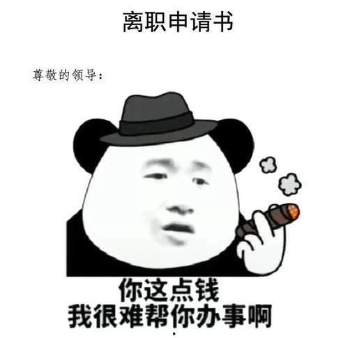 热门话题我不傻表情包,网络时代下的幽默与共鸣