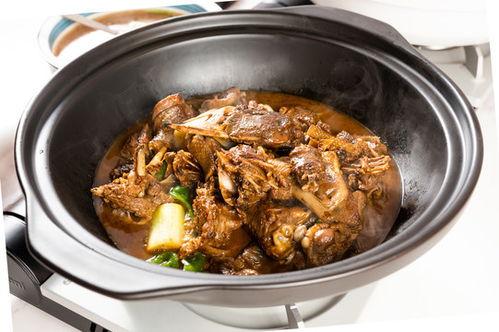 热门话题铁锅炖大鹅作文,冬日里的暖胃美食之旅