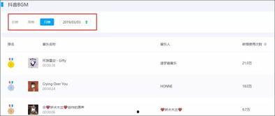 抖音热门话题歌名大全,跟随潮流，一起唱响青春旋律