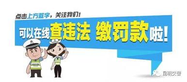 热门话题千合资本诈骗,揭开金融投资领域的暗影面纱