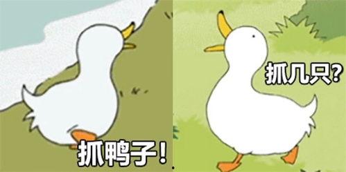 热门话题抓鸭子什么意思,抓鸭子热潮背后的社会现象解析