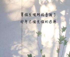 心好累的热门话题短句,揭秘当代人心理压力背后的真相