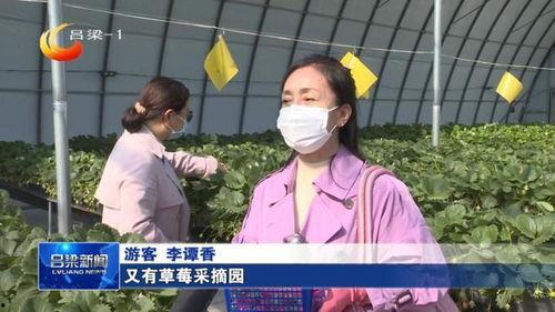 农村残疾人抖音热门话题,展现生活新风采