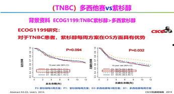 2月21日热门话题研究,2月21日聚焦热点话题深度解析