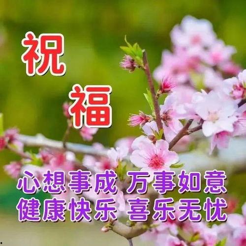热门话题乐观心态的句子,开启幸福生活的金钥匙