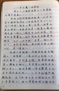 热门话题秋日的一天作文,一天的美好时光