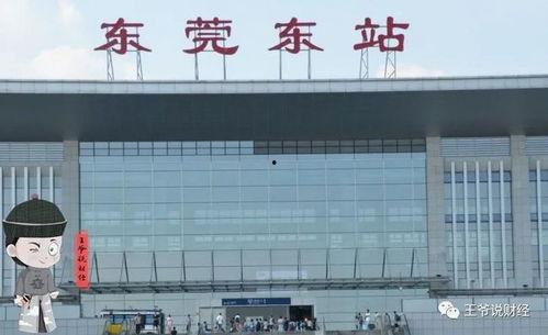 东莞市热门话题有哪些,聚焦城市脉搏，解码热门话题