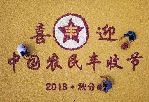 热门话题丰收在望下联,农业发展新篇章