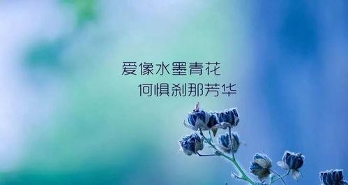 热门话题情感语录排名榜,触动心灵的经典语句