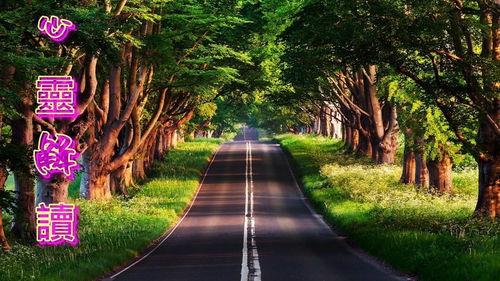 热门话题一路风景图片,捕捉旅途中的美好瞬间