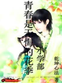 热门话题一生无悔小说,追寻梦想的青春传奇