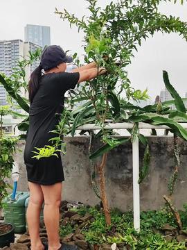 热门话题硕果累累下一句