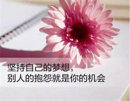 热门话题硕果累累下一句