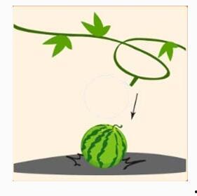 热门话题硕果累累下一句