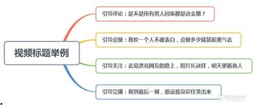 热门话题包括几大类题目,解析当下社会热点与焦点