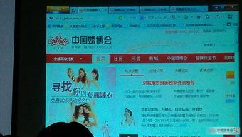 热门话题包括几大类题目,解析当下社会热点与焦点