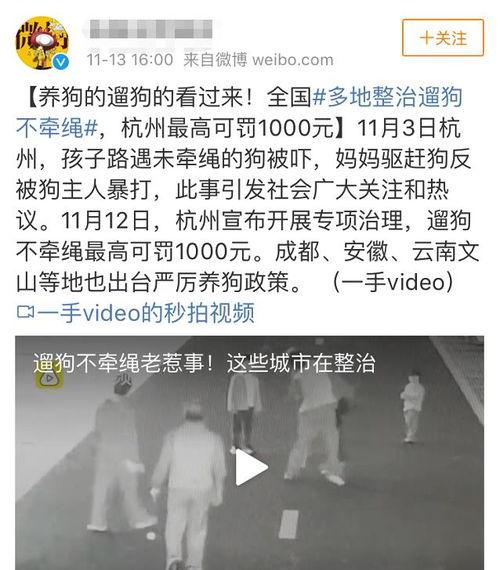 重情重义热门话题有哪些,盘点当下热门的重情重义话题