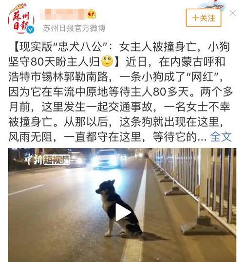 重情重义热门话题有哪些,盘点当下热门的重情重义话题