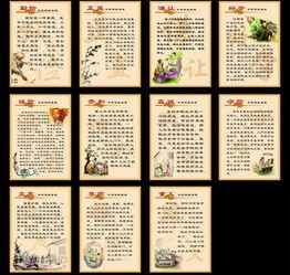 传统美德热门话题素材,共筑文明基石——聚焦传统美德热门话题