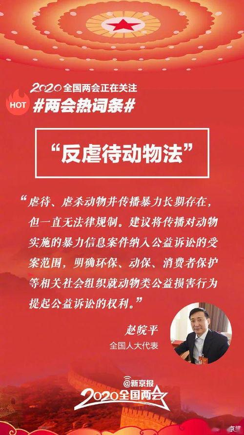 两会热门话题催生文案,聚焦民生福祉，共绘发展蓝图