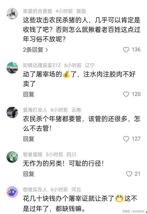 热门话题杀年猪什么意思,杀年猪背后的文化内涵与时代变迁