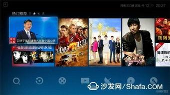当代热门话题娱乐节目,盘点2023年度热门娱乐节目