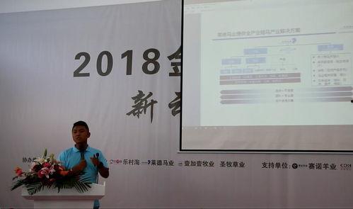 宾馆前台文案热门话题,宾馆前台服务新趋势与顾客体验变革