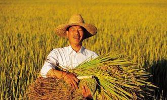 农民受害的热门话题英语,Exposing the Plight of Farmers: A Glimpse into the Hot Topics of Agricultural Victimization