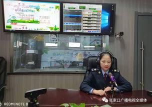 派出所热门话题有哪些,民生关切与安全动态