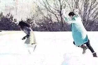 打雪仗热门话题有哪些,盘点打雪仗热门话题与趣味瞬间