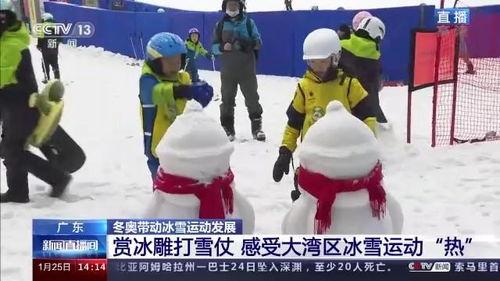 打雪仗热门话题有哪些,盘点打雪仗热门话题与趣味瞬间
