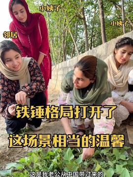 热门话题上热门话题夫妻,揭秘网络红人的爱情故事