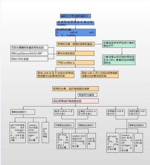 热门话题结构化模板图,洞察内容核心，打造爆款文章