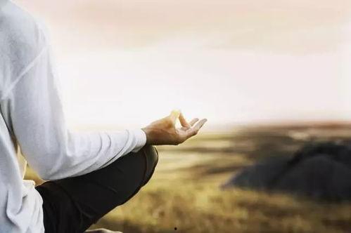 禅坐热门话题有哪些,探索心灵宁静的五大热门话题