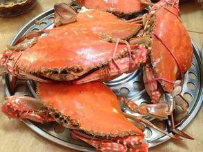 热门话题清蒸梭子蟹视频,家常美味，轻松上桌