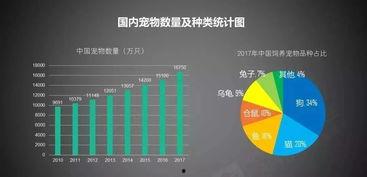 宠物行业的热门话题英文,Top Trends in the Pet Industry: Unveiling the Hottest Topics of 2023