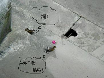 放下热门话题什么意思,回归内心宁静