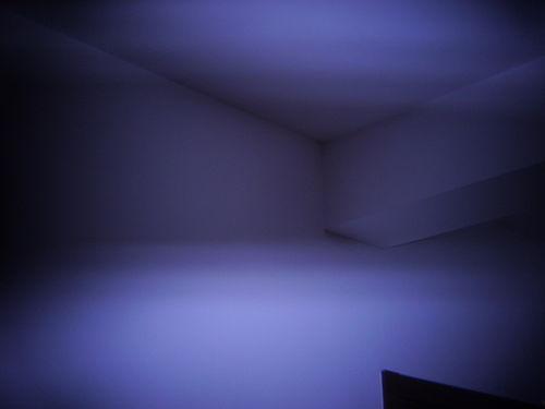 热门话题上热门话题地毯,揭秘当下热议焦点