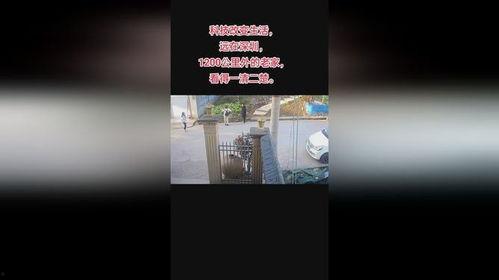 9000亿热门话题上热门话题,揭秘热门话题背后的焦点与影响