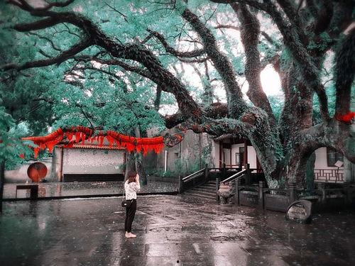 烟雨江南热门话题是什么,探寻热门话题背后的文化韵味