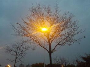 烟雨江南热门话题是什么,探寻热门话题背后的文化韵味