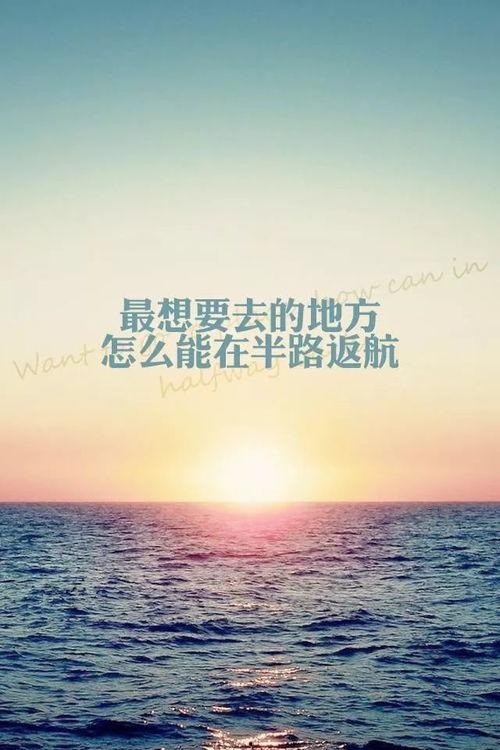 励志语录短视频热门话题,短视频热门话题中的心灵火花