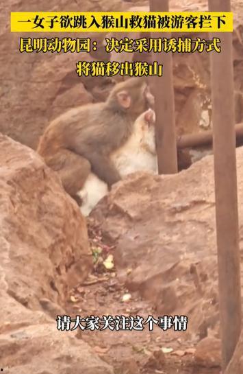 热门话题人与动物交配,揭秘人与动物交配的争议与真相